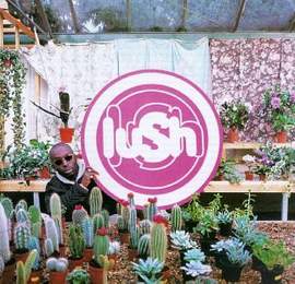 Lush: Single Girl
