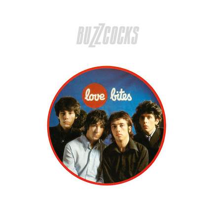 The Buzzcocks: Ever Fallen In Love