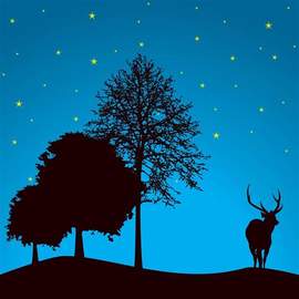 Joseph Mohr: Silent Night