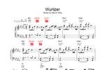 David Gray: Wurlizer Product Image