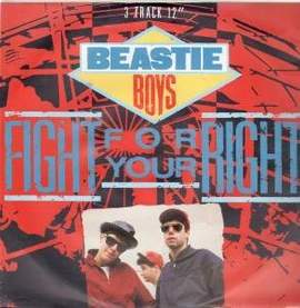 Beastie Boys: Fight For Your Right (To Party)