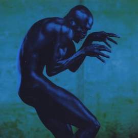 Seal: Human Beings