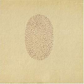 Devendra Banhart: At The Hop