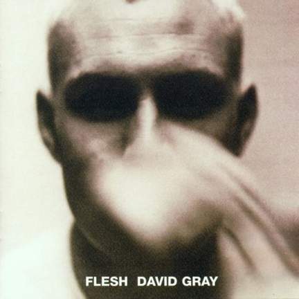 David Gray: Falling Free