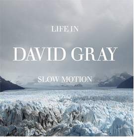 David Gray: Alibi