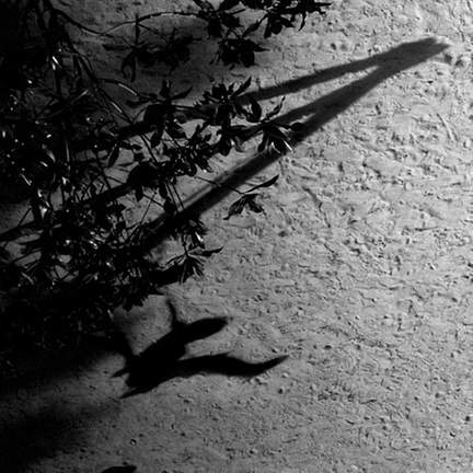 Max Richter: Horizon Variations