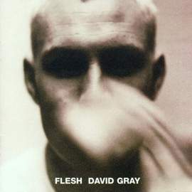 David Gray: Falling Free