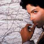 Prince: The Marrying Kind Product Image