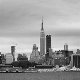 Odyssey: Native New Yorker