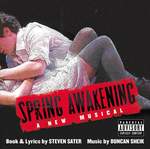 Duncan Sheik: Whispering Product Image