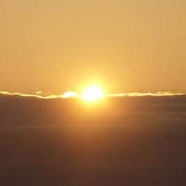 Leslie Cooke: The Sunshine Of Your Smile