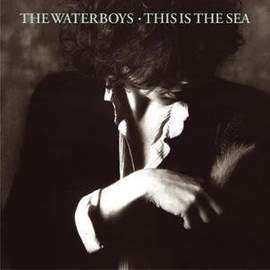 The Waterboys: The Whole Of The Moon