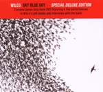 Wilco: Hate It Here Product Image