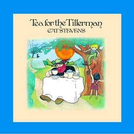Cat Stevens: Wild World