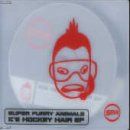 Super Furry Animals: Ice Hockey Hair