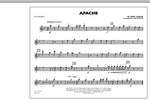 Tim Waters: Apache - Flute/Piccolo Product Image