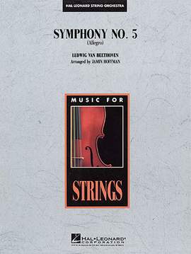 Jamin Hoffman: Symphony No. 5 (Allegro) - Cello