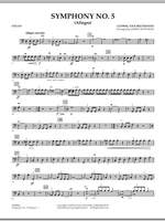 Jamin Hoffman: Symphony No. 5 (Allegro) - Cello Product Image