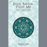 Chris Collins: Jesus, Savior, Pilot Me Product Image