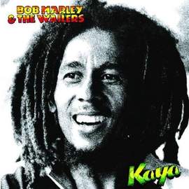 Bob Marley: Is This Love