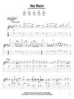 Blind Melon: No Rain Product Image