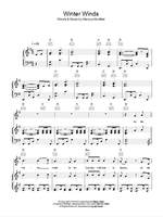 Mumford & Sons: Winter Winds Product Image