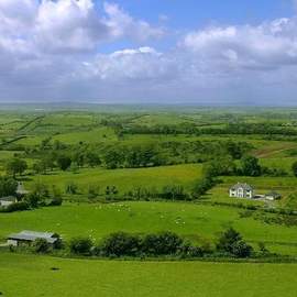 Pete St. John: The Fields Of Athenry