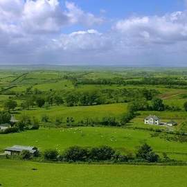 Pete St. John: The Fields Of Athenry