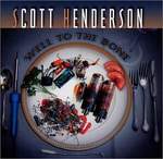 Scott Henderson: Ashes Product Image