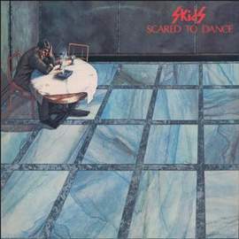 The Skids: Into The Valley