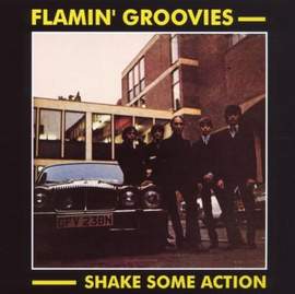 The Flamin' Groovies: Shake Some Action