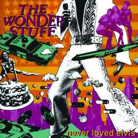 The Wonder Stuff: The Size Of A Cow