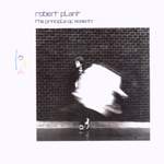 Robert Plant: Big Log Product Image