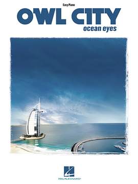 Owl City: On The Wing
