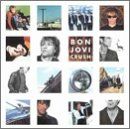 Bon Jovi: One Wild Night