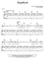 Matt Redman: Magnificent Product Image