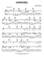 Vanessa Carlton: Carousel Product Image
