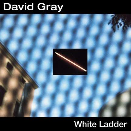 David Gray: This Year's Love