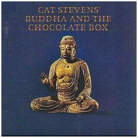 Cat Stevens: Home In The Sky