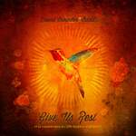 David Crowder Band: Sometimes Product Image