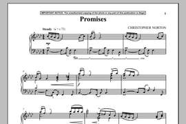 Christopher Norton: Promises