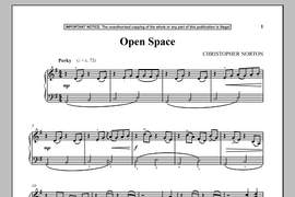 Christopher Norton: Open Space