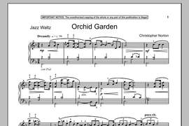 Christopher Norton: Orchid Garden