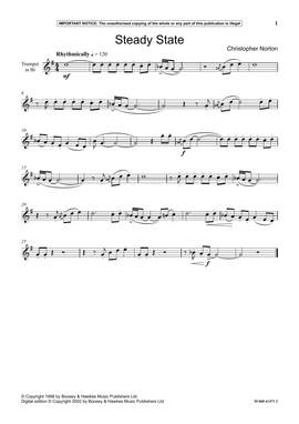 Christopher Norton: Steady State