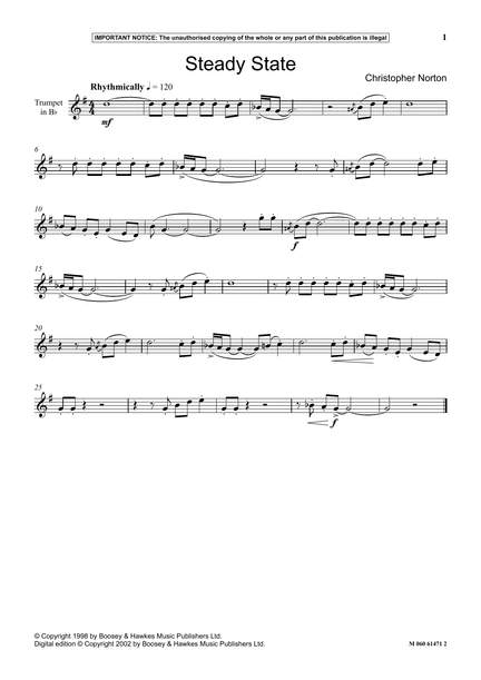 Christopher Norton: Steady State