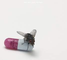 Red Hot Chili Peppers: Brendan's Death Song