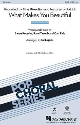 Ed Lojeski: What Makes You Beautiful - Synthesizer