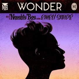 Naughty Boy: Wonder (featuring Emeli Sande)