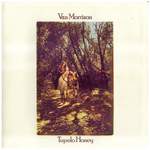Van Morrison: Wild Night Product Image