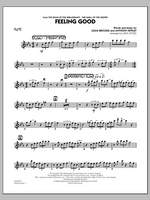 Rick Stitzel: Feeling Good - Flute Product Image